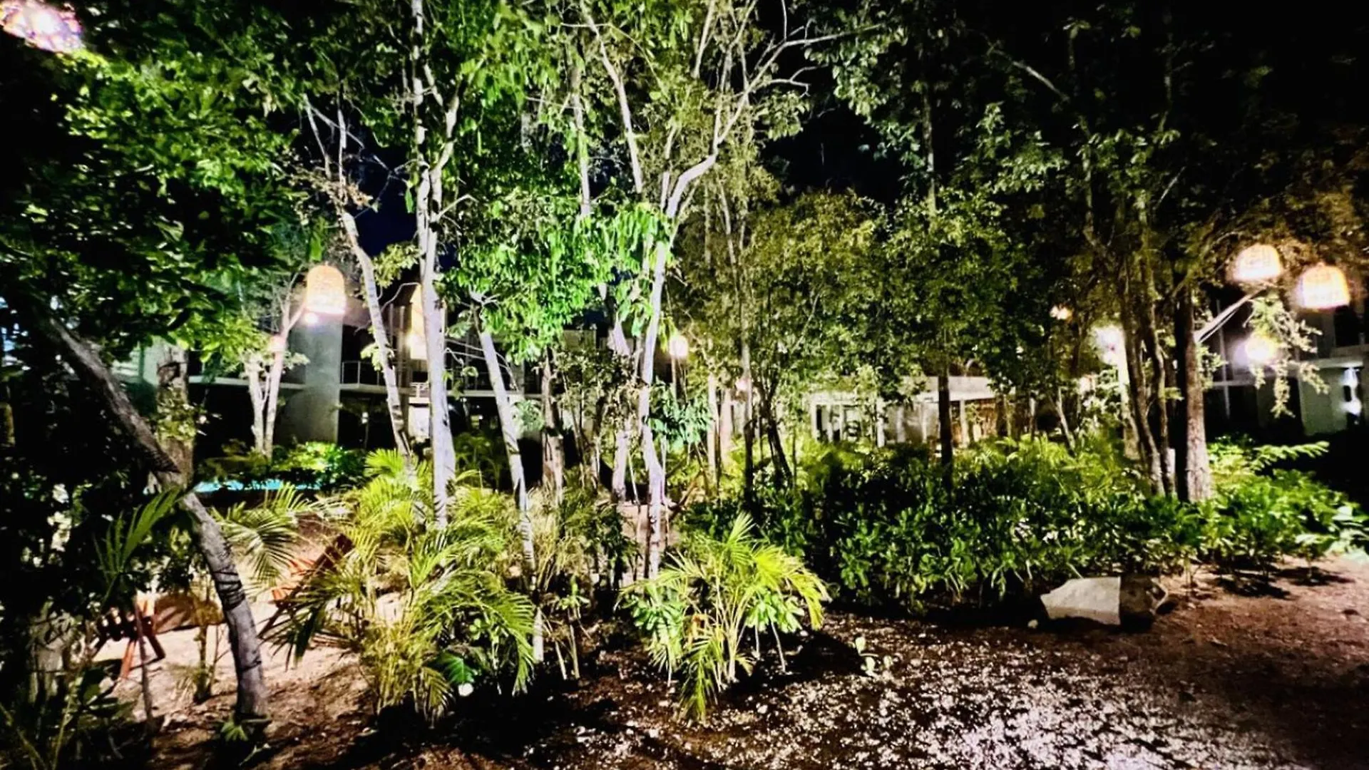 204 Seremonia Selva Private Pool New Apartment King Bed Wifi Tulum 0*,  Mexico