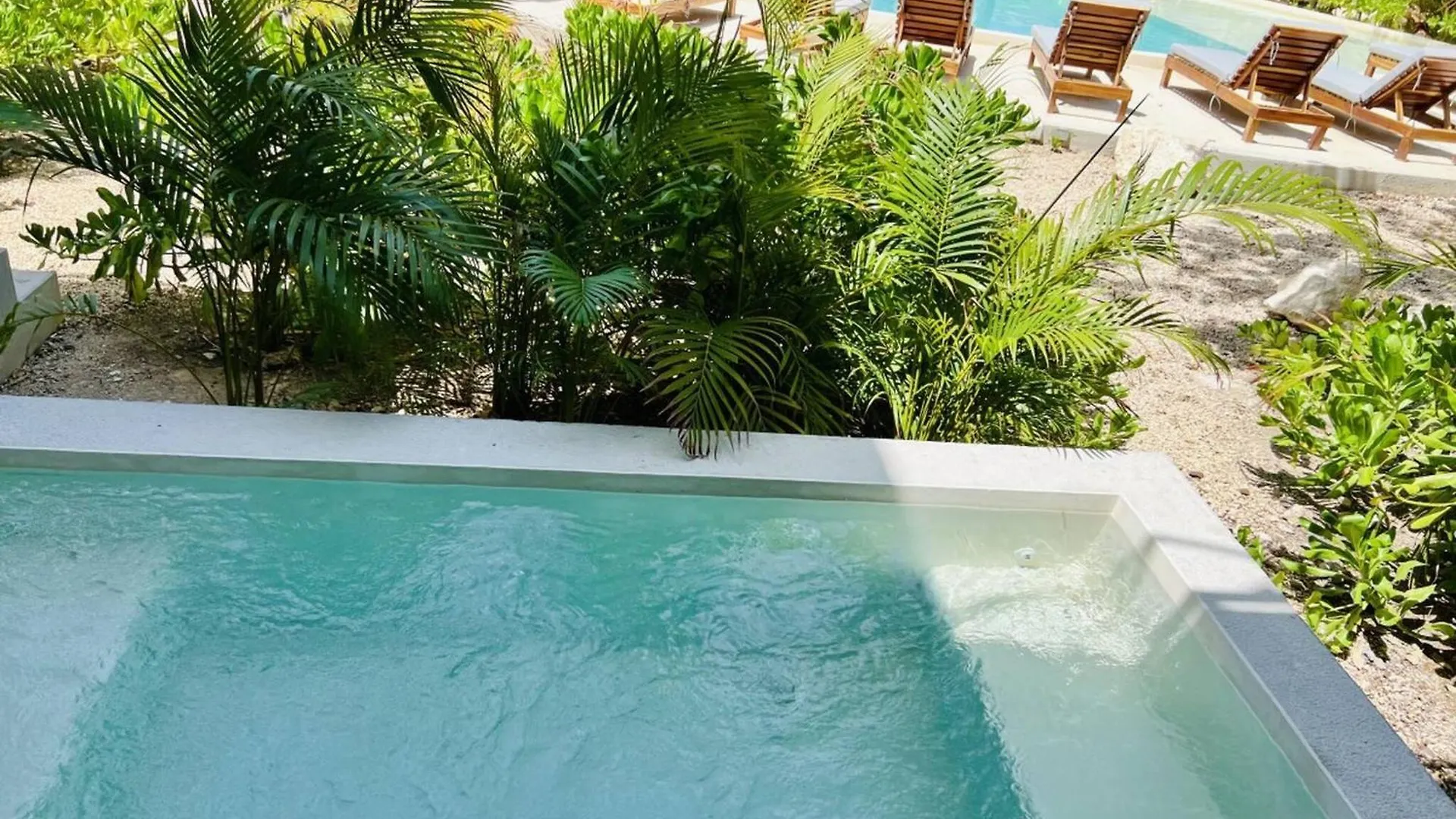 204 Seremonia Selva Private Pool New Apartment King Bed Wifi Tulum